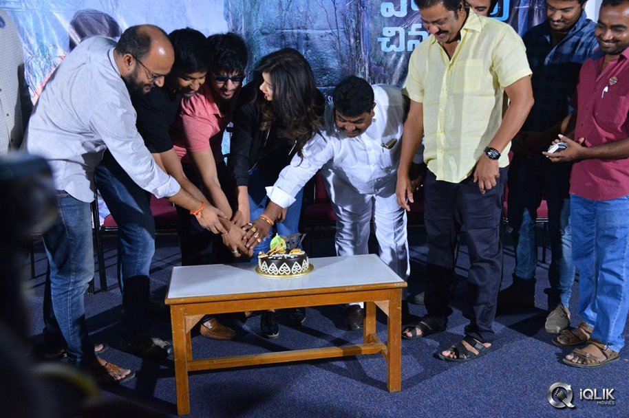 Ekkadiki-Pothavu-Chinnavada-Movie-Thanks-Meet